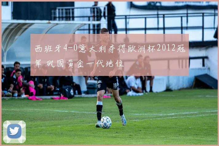 西班牙4-0意大利夺得欧洲杯2012冠军 巩固黄金一代地位