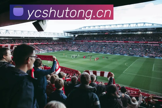 米兰app网页版登录入口APP 封面图